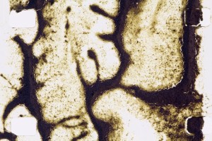 reach-16mm-parker-moore-2014-2