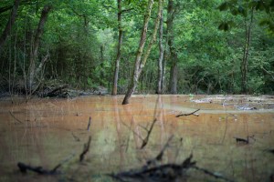 Uriel Orlow, The MusselsPerspective-02